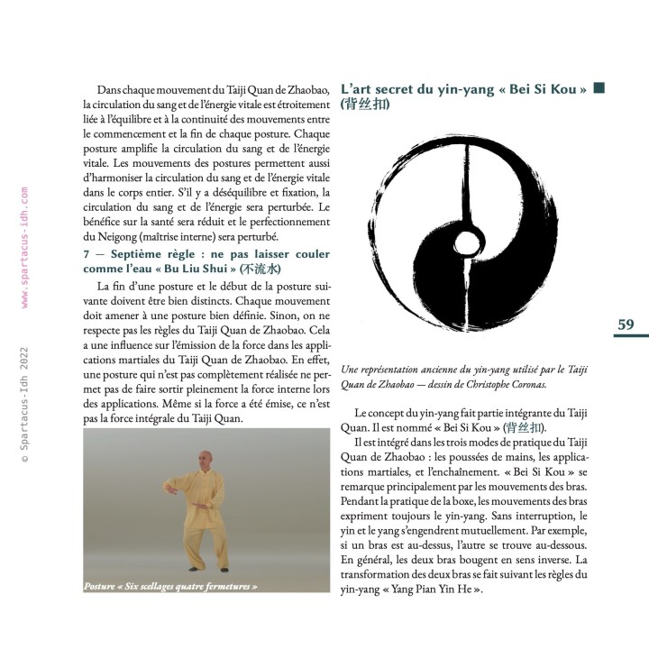 Le Taiji Quan des anciens maîtres — Philippe Grangé