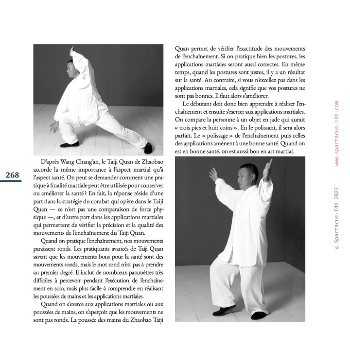 Le Taiji Quan des anciens maîtres — Philippe Grangé