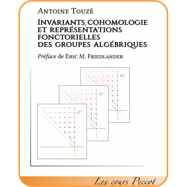 Invariants, cohomologie et représentations fonctorielles des groupes algébriques