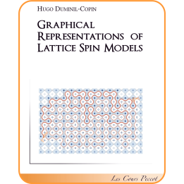 Graphical representations of lattice spin models