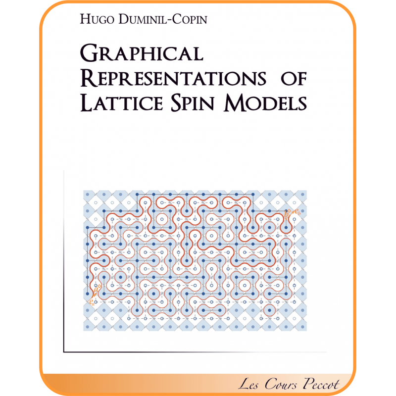 Graphical representations of lattice spin models