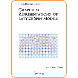 Graphical representations of lattice spin models
