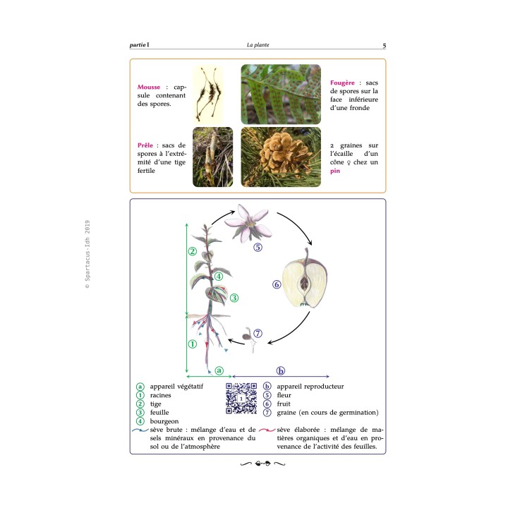 La botanique des fleuristes — Catherine Bayard-Contrault