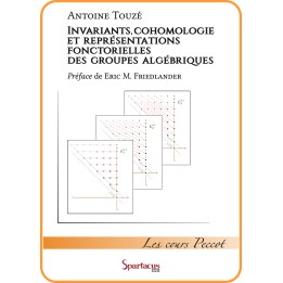 Invariants, cohomologie et représentations fonctorielles des groupes algébriques