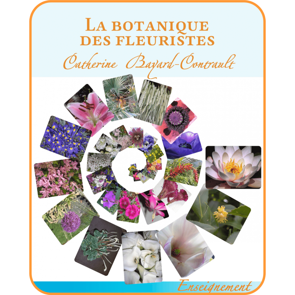 La botanique des fleuristes