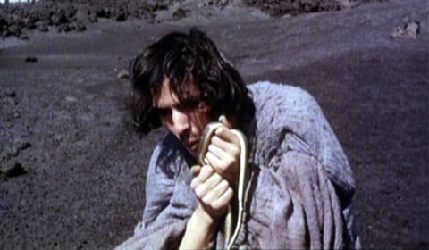 Rigeur - Michael Schmidt - image 4